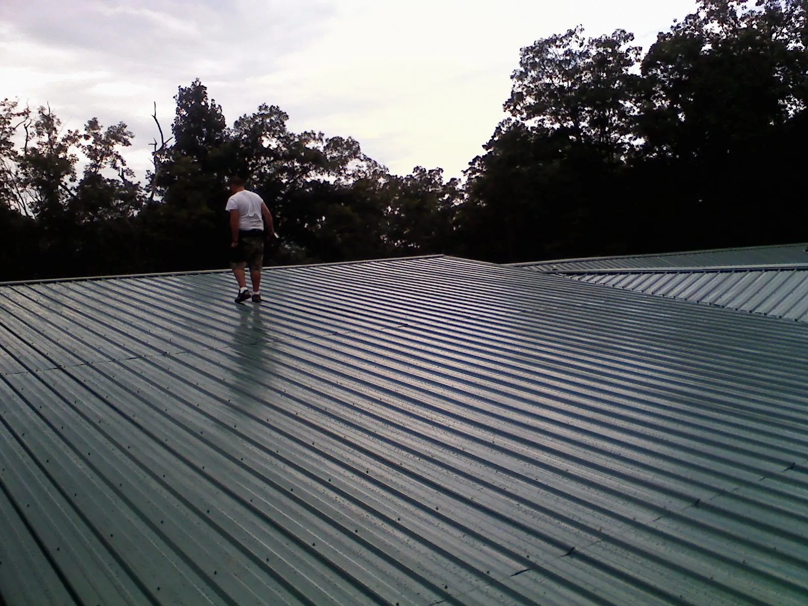 Roofer walking a wide expanse of new green metal roofing in Rotonda West